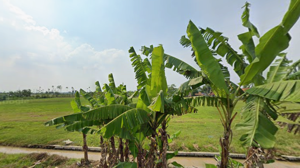Lapangan Sepakbola Mulyasari-Telar