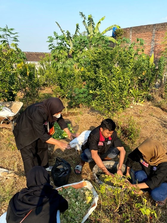 Memanfaatkan Pakan ternak dari hasil panen palawija dan sayuran